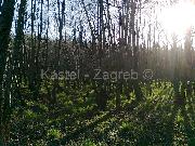   ,  mala slika 1