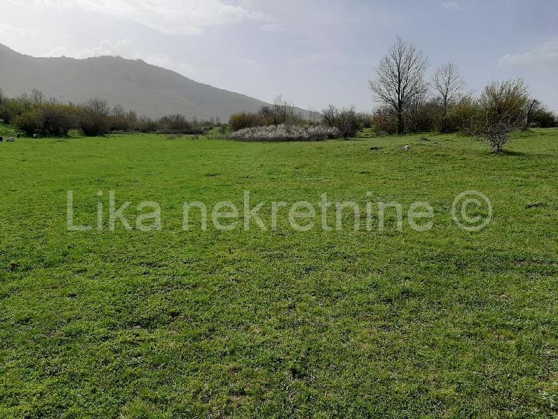   , , slika 2