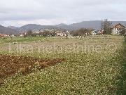   , , mala slika 5