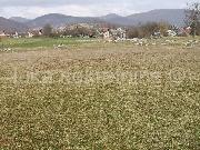   , , mala slika 6
