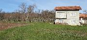   , , mala slika 22