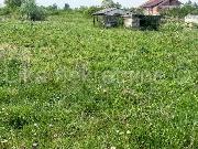   , , mala slika 5