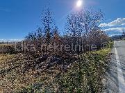   ,  mala slika 1