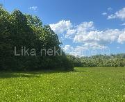   ,  mala slika 1