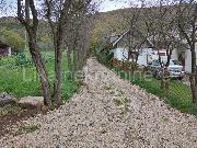  , , mala slika 8