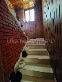   , , mala slika 11