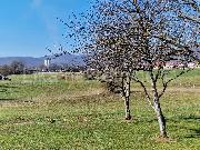   , , mala slika 28