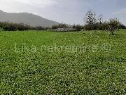   , , mala slika 5