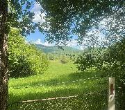   ,  mala slika 1