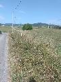   , , mala slika 2