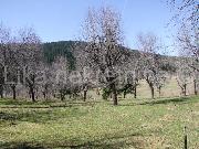  , , mala slika 10