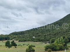 Nekretnina , 