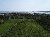   , , mala slika 2