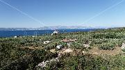   , , mala slika 5