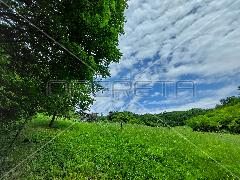Nekretnina , 