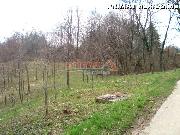   , , mala slika 6