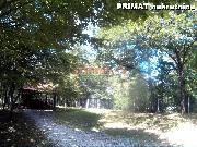   , , mala slika 17