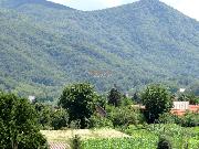   , , mala slika 10