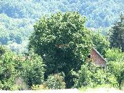   , , mala slika 9