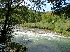 Nekretnina , 