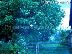 Nekretnina , 