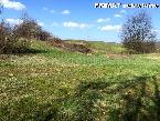 Nekretnina , 