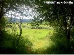 Nekretnina , 