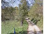Nekretnina , 