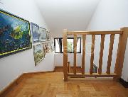   , , mala slika 17