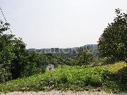   , , mala slika 8