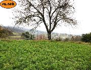   , , mala slika 2