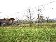   , , mala slika 6