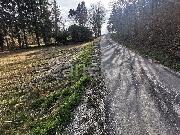   , , mala slika 5
