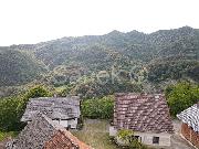   , , mala slika 8