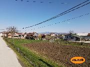   ,  mala slika 1
