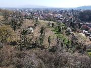   , , mala slika 3