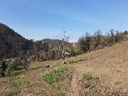   , , mala slika 4
