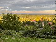   , , mala slika 8