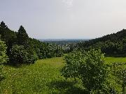   , , mala slika 12