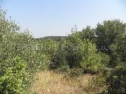   ,  mala slika 1