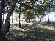   , , mala slika 10