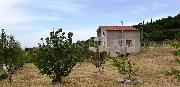   , , mala slika 2