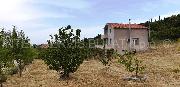   , , mala slika 24