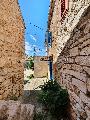   , , mala slika 36