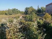   , , mala slika 6