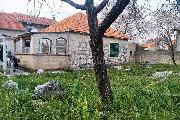   , , mala slika 3