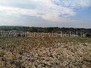   , , mala slika 10