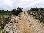   , , mala slika 5