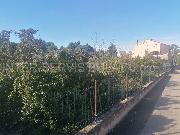   , , mala slika 3
