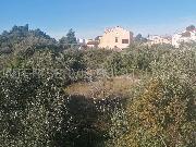   , , mala slika 5
